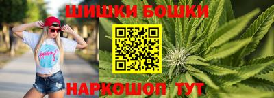 спиды Дубна