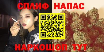 СК Донецк