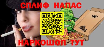 спиды Дубна