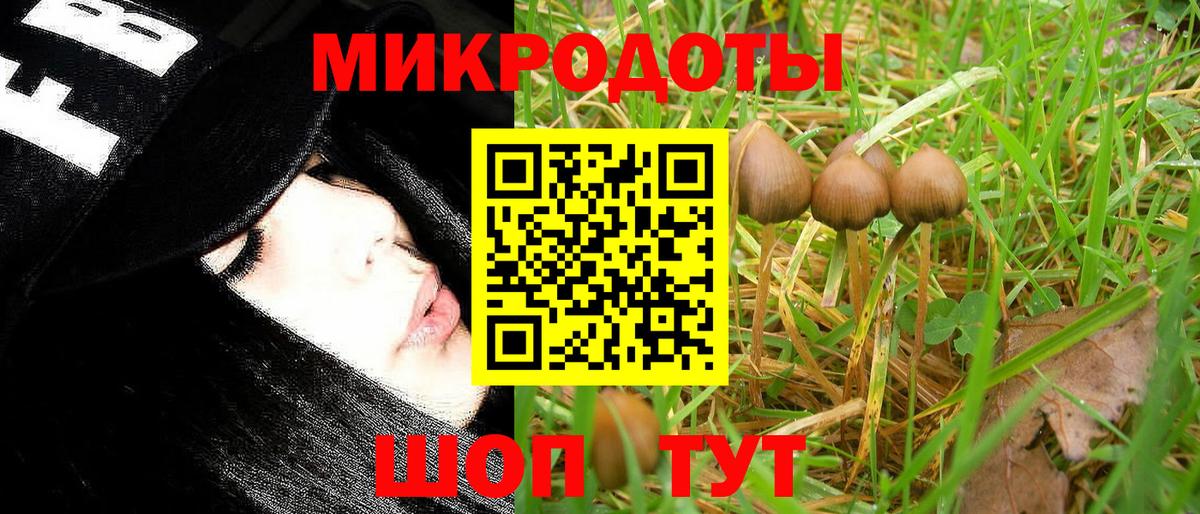 Москва  Галлюциногенные грибы Psilocybine cubensis  Галлюциногенные грибы мицелий  Вход с VPN 